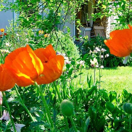 Janischs Fewo Im Spreewald, Terrasse, Grosser Garten Und Blick Inklusive Unterspreewald エクステリア 写真