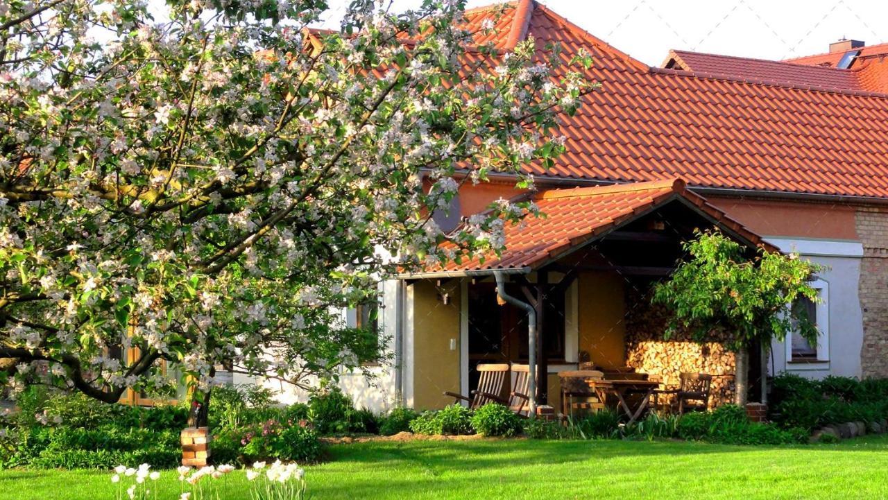 Janischs Fewo Im Spreewald, Terrasse, Grosser Garten Und Blick Inklusive Unterspreewald エクステリア 写真