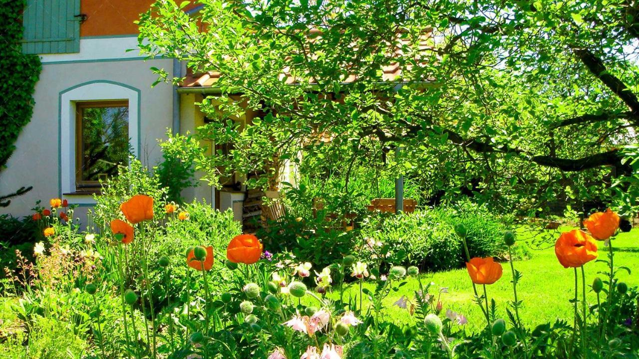 Janischs Fewo Im Spreewald, Terrasse, Grosser Garten Und Blick Inklusive Unterspreewald エクステリア 写真