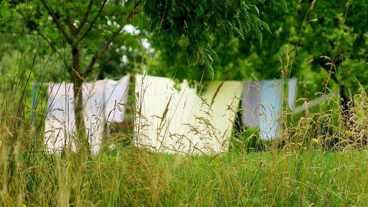 Janischs Fewo Im Spreewald, Terrasse, Grosser Garten Und Blick Inklusive Unterspreewald エクステリア 写真