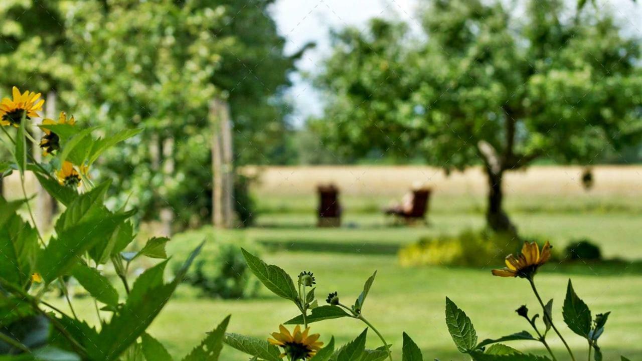 Janischs Fewo Im Spreewald, Terrasse, Grosser Garten Und Blick Inklusive Unterspreewald エクステリア 写真
