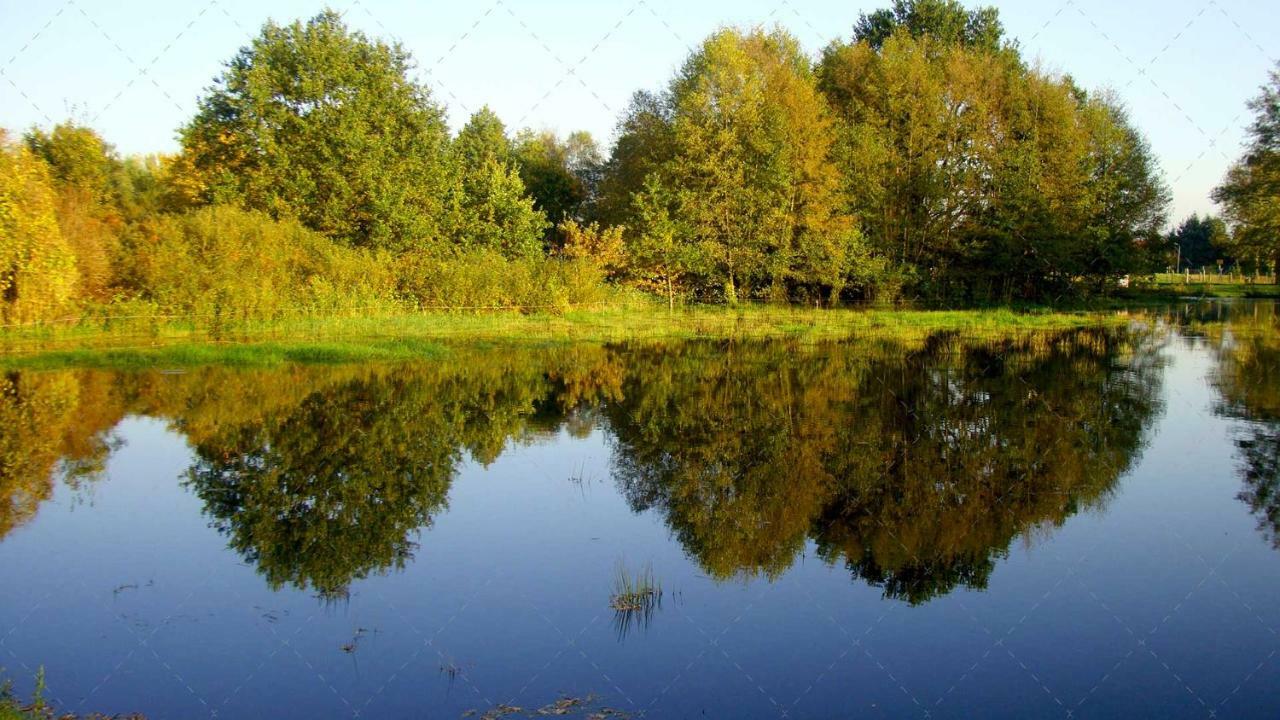 Janischs Fewo Im Spreewald, Terrasse, Grosser Garten Und Blick Inklusive Unterspreewald エクステリア 写真